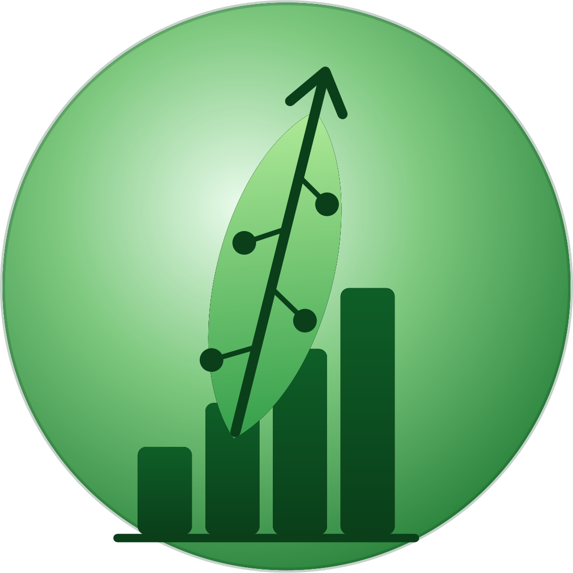 AI Native Solutions Ltd