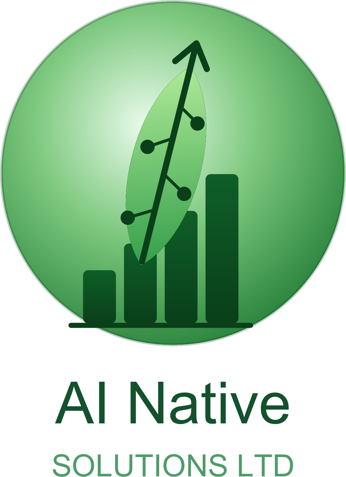 AI Native Solutions Ltd